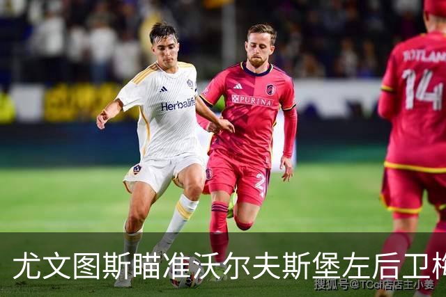尤文图斯瞄准沃尔夫斯堡左后卫梅勒，欲租借加强阵容